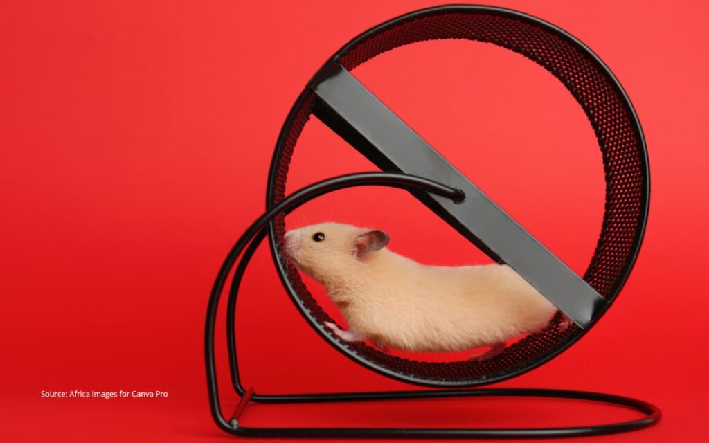 Hamster on a hamster wheel to illustrate the feeling of being stuck in place, like the arrival fallacy feeling.