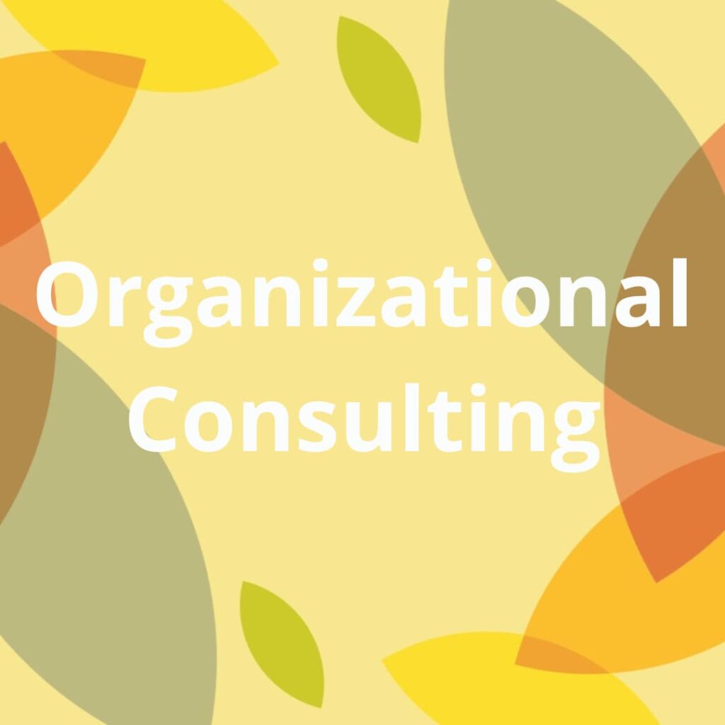 Descriptive button for organizational consulting.